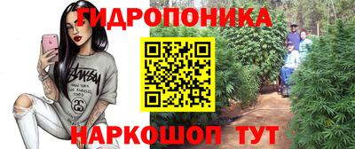 Альфа ПВП Дубна