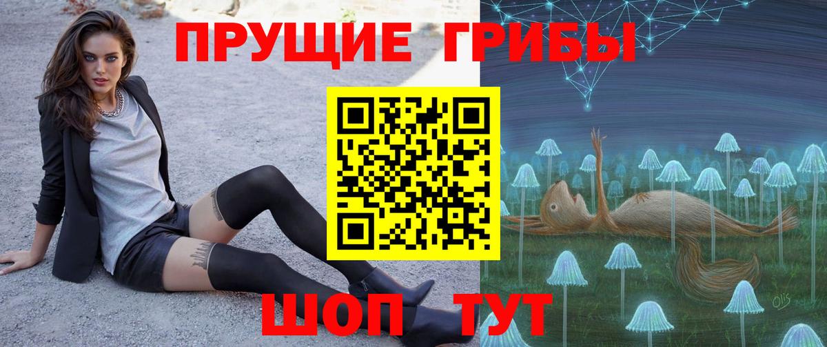 Галлюциногенные грибы Cubensis Нижний Новгород