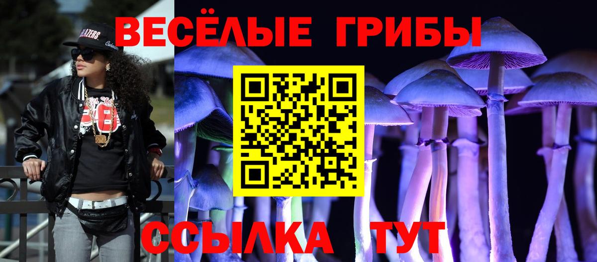Нижний Новгород  Галлюциногенные грибы MAGIC MUSHROOMS  Вход с VPN  Псилоцибиновые грибы Psilocybine cubensis 